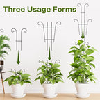 Larger 23.6in Taller Plant Trellis - Image 7