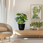 8 Inch Plant Pot - Image 7