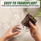 3.5" Clear Seeding Pots 100-Pack Round - Image 5