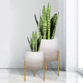 ARNIS Plants Pots with Stand, Unique Mid Century Decorative Metal Flower Pots by ARNIS