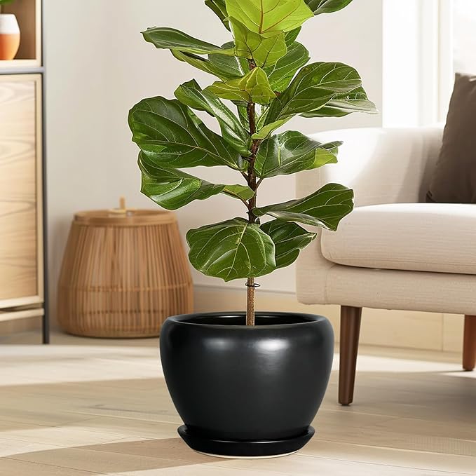 Ceramic Planter Pot - Image 5