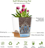 7/6.5/6/5.5/5/4 inch Self Watering Pots - Image 5