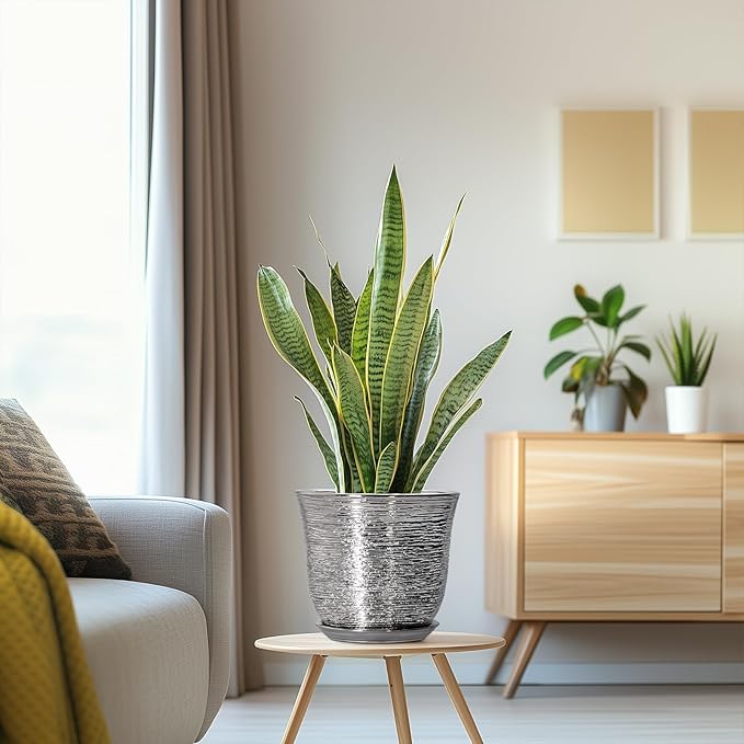 Ceramic Pots for Plants - Image 5