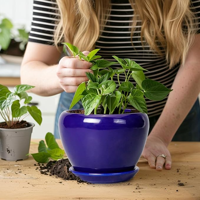 6 Inch Plant Pot - Image 5