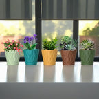 4 Inch Plant Pots, 6 Pack Indoor Flower Pots, Planters - Image 5