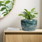 SQOWL 10 Inch Plant Pot - Image 7