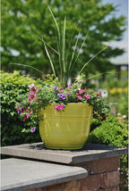 Garden Elements Indoor/Outdoor Glazed Brushed Happy Plastic Planter, Bright - Image 5