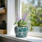 SQOWL Ceramic Pot for Plants - Image 2