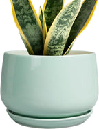 G EPGardening Ceramic Plant Pots by GEPGardening