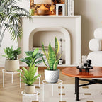 5-piece set of metal plant potted flower racks, heavy-duty flower pot plant - Image 4