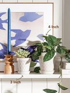 LE TAUCI 3 Inch Mini Succulent Pots - Image 3