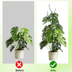 15 Pack Stackable Plant Support Stakes, Garden Trellis - Image 4