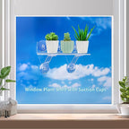 12 Inch 2 Pack Plant Window Boxes Shelf Sill Suction Cup Planter, 5-Inch Extra - Image 3