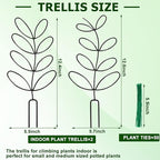 AUGSUN 2 Packs Indoor Plant Trellis Garden Trellis - Image 2