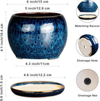 SQOWL 6 Inch Plant Pot - Image 3