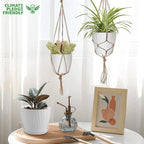 7 pcs Plant Pots with Drainage Holes and Saucers, Indoor Planters - Image 7