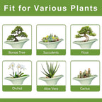 Ceramic Bonsai Pots - Image 7