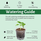 18 Pack 6.5/5/4 Inch Clear Self Watering Plant Pots - Image 6