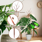 6 Pack Stackable Monstera Plant Support, Plant Stakes - Image 4