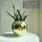 SCANDINORDICA Disco Ball Planter – Value Package: Mirror Disco Planter - Image 6