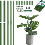 Breeze Touch Garden Trellis for Climbing Plants Outdoor, 20 Pack 17" Tomato by BreezeTouch