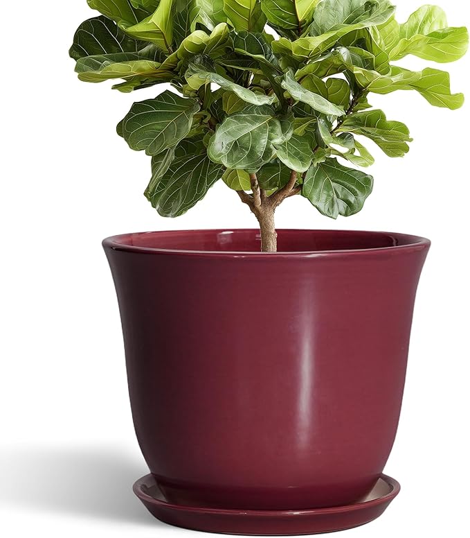 12 Inch Pots for Plants by SUNPOTFOR