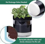 Phoenix Vine 6 Inch Self Watering Planter Pot - Image 5