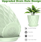 6 Pack 6 Inch Indoor Plant Pots - Image 3