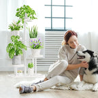 iDavosic.ly 5 Tier Plant Stand Indoor Outdoor, Tiered Corner Plant Stands - Image 2