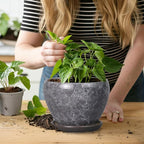 Ceramic Planter - Image 7