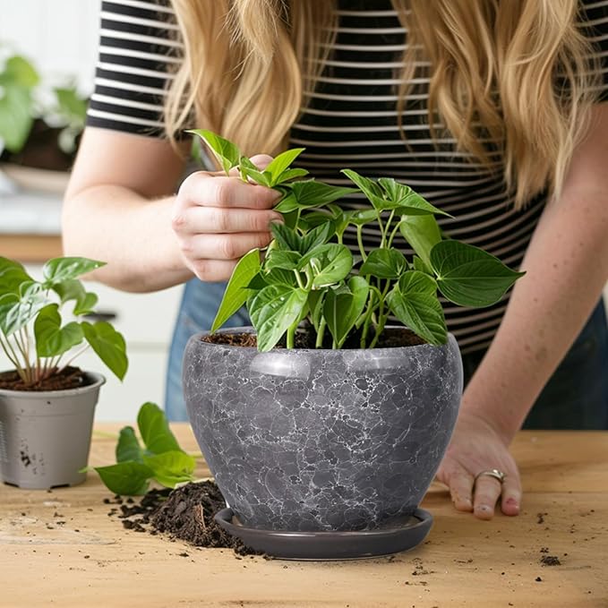Ceramic Planter - Image 7