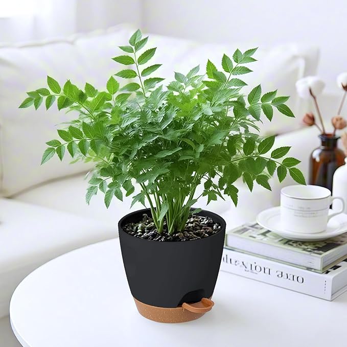 6-Pack Plant Pots with Drainage 6 Inch, Self Watering Pots - Image 6