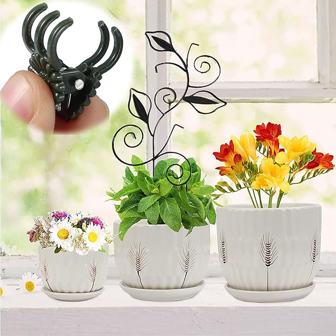 Decorative Metal Plant Trellis for Indoor Potted Plants – Leaf Shape Vine - Image 4