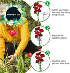 HiGift 5 Pack Plant Support Stakes, Garden Single Stem Flower Support Stick - Image 4