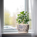 SQOWL Ceramic Planters for Indoor Plants - Image 4