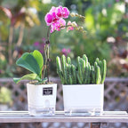 FAMZ Self Watering Planters 4 Pack，Self Watering Pots - Image 3