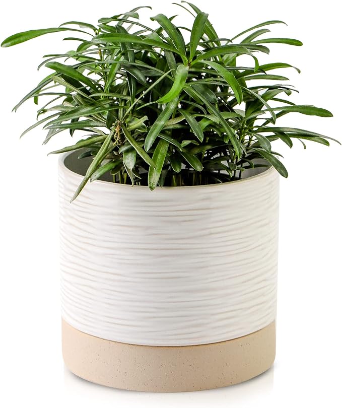 Nihow Ceramic Plant Pot: 6 Inch Planter by Nihow