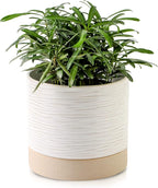 Nihow Ceramic Plant Pot: 6 Inch Planter by Nihow