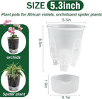 Cdd's Path Upgraded 5-Pack 6 Inch Naked Root Planter Self Watering Pots Set - Image 4