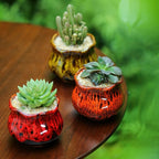 Cute Ceramic Succulent Planters, Garden Pots - Image 8