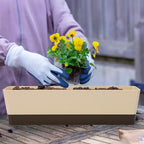 Suream Window Box Herb Planters, 3 Pack 16 x3.8 Inch Indoor Rectangle Succulent - Image 5