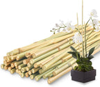50Pcs / 2ft Bamboo Plant Stakes by Avalution