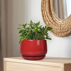 G EPGardening Ceramic Plant Pots - Image 5