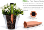 Automatic Plant Waterer Terracotta Self Watering Spikes Drippers Irrigation - Image 8