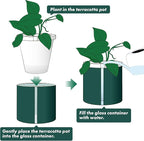D'vine Dev 8 Inch Design Self Watering Planter - Image 5