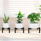 Heavy Duty Adjustable Metal Plant Stand - Image 8