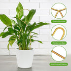 4 Pcs Small Metal Trellis for Potted Plants, Small Trellis for Potted Plants - Image 4