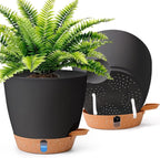 T4U 2 Pack 8 Inch Self Watering Pots by T4U