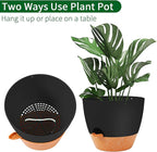 GARDIFE Hanging Planter, 10 inch Hanging planters - Image 5