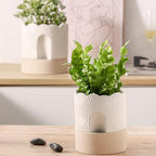 Nihow Self Watering Plant Pot for Indoor Plants : 6 Inch & 8 Inch Ceramic - Image 5